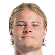 安德烈·郭约翰森