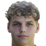 蒂姆·范德莱伊